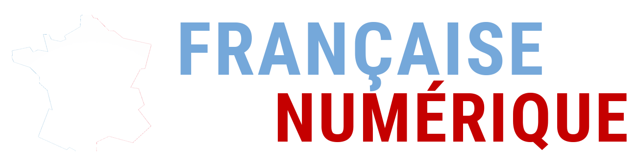 Identité visuelle de Française du Numérique